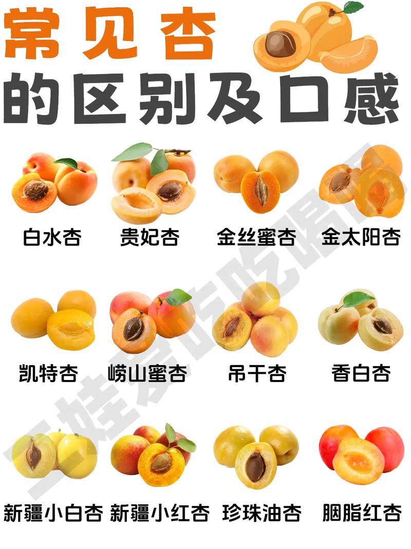 银杏和杏仁有什么区别，银杏和杏仁有什么区别图片？-第2张图片-优品飞百科