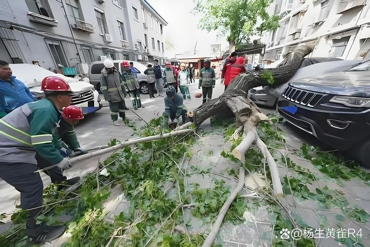 门头沟天气预报实时查询，门头沟地区天气预报一周-第3张图片-优品飞百科