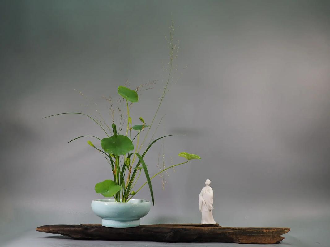 东方式插花的风格特点,东方式插花的风格特点有哪些-第5张图片-优品飞百科 东方式插花的风格特点,东方式插花的风格特点有哪些-第5张图片-优品飞百科
