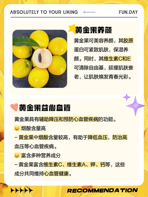 黄金果（乳茄）常见问题及解决办法，黄金果乳茄功效-第2张图片-优品飞百科