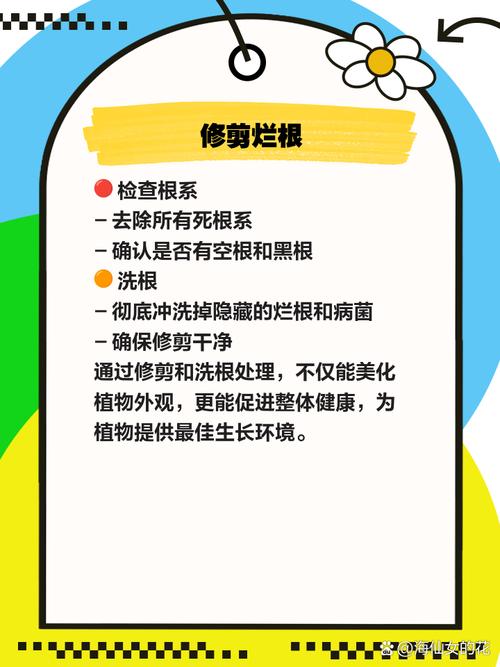 墨兰烂根怎么办，墨兰烂根怎么办呢-第5张图片-优品飞百科