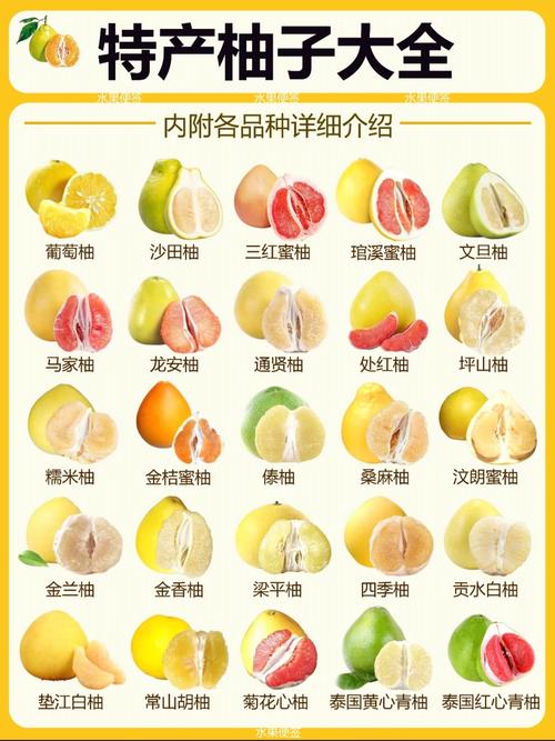 柚子北方可以种植吗？柚子北方可以种植吗冬天？-第4张图片-优品飞百科