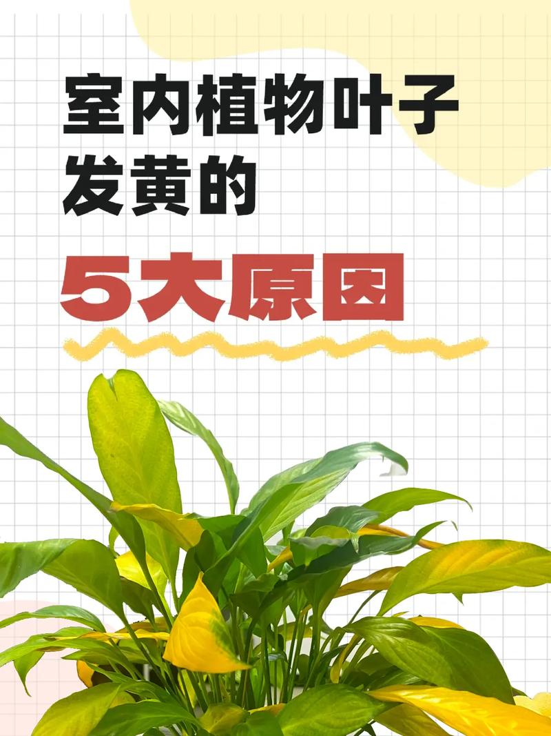 为什么盆栽花卉叶子容易发黄？？盆栽花叶发黄啥原因？-第1张图片-优品飞百科