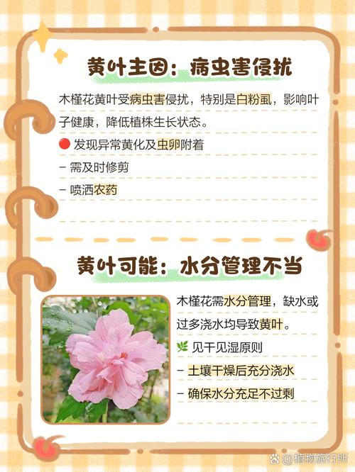为什么盆栽花卉叶子容易发黄？？盆栽花叶发黄啥原因？-第6张图片-优品飞百科