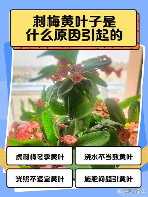 珍珠梅黄叶的原因和处理办法，珍珠梅黄叶是怎么回事？-第4张图片-优品飞百科