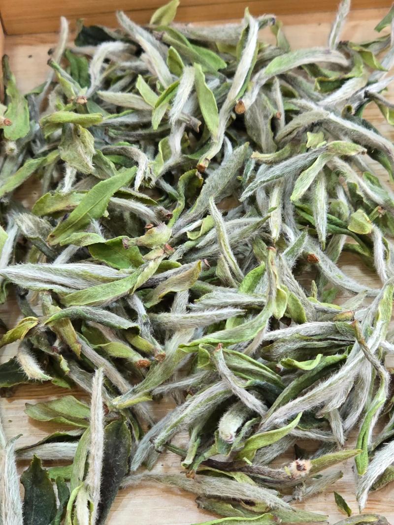 紫斑牡丹的功效和作用，紫斑牡丹简介？-第5张图片-优品飞百科