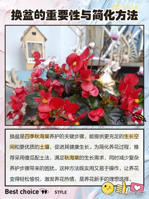 海棠秋天怎么养，海棠秋季可以换盆吗