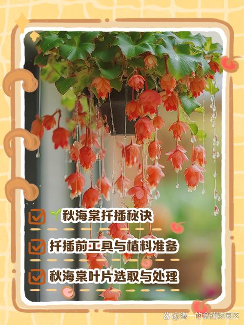 海棠秋天怎么养,海棠秋季可以换盆吗-第5张图片-优品飞百科 海棠秋天怎么养,海棠秋季可以换盆吗-第5张图片-优品飞百科