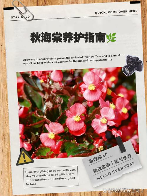 海棠秋天怎么养,海棠秋季可以换盆吗-第7张图片-优品飞百科 海棠秋天怎么养,海棠秋季可以换盆吗-第7张图片-优品飞百科