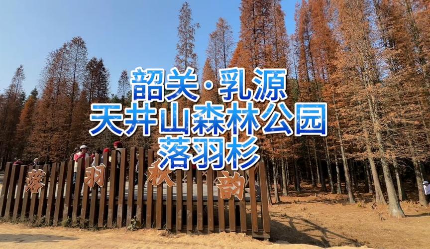 本地天气预报精准定位君山区？君山区气温？-第3张图片-优品飞百科