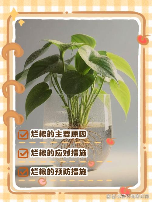 绿萝为什么烂根怎么治，绿萝为什么会烂根部？-第3张图片-优品飞百科