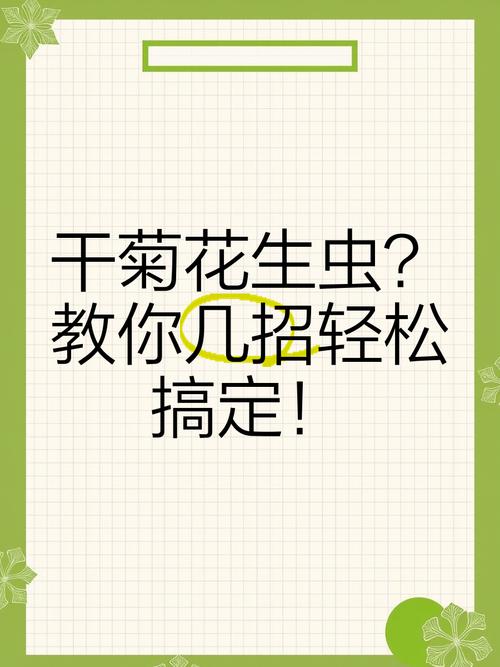 菊花里面的小黑虫是什么，怎么去除，菊花里的小黑点是否虫子？