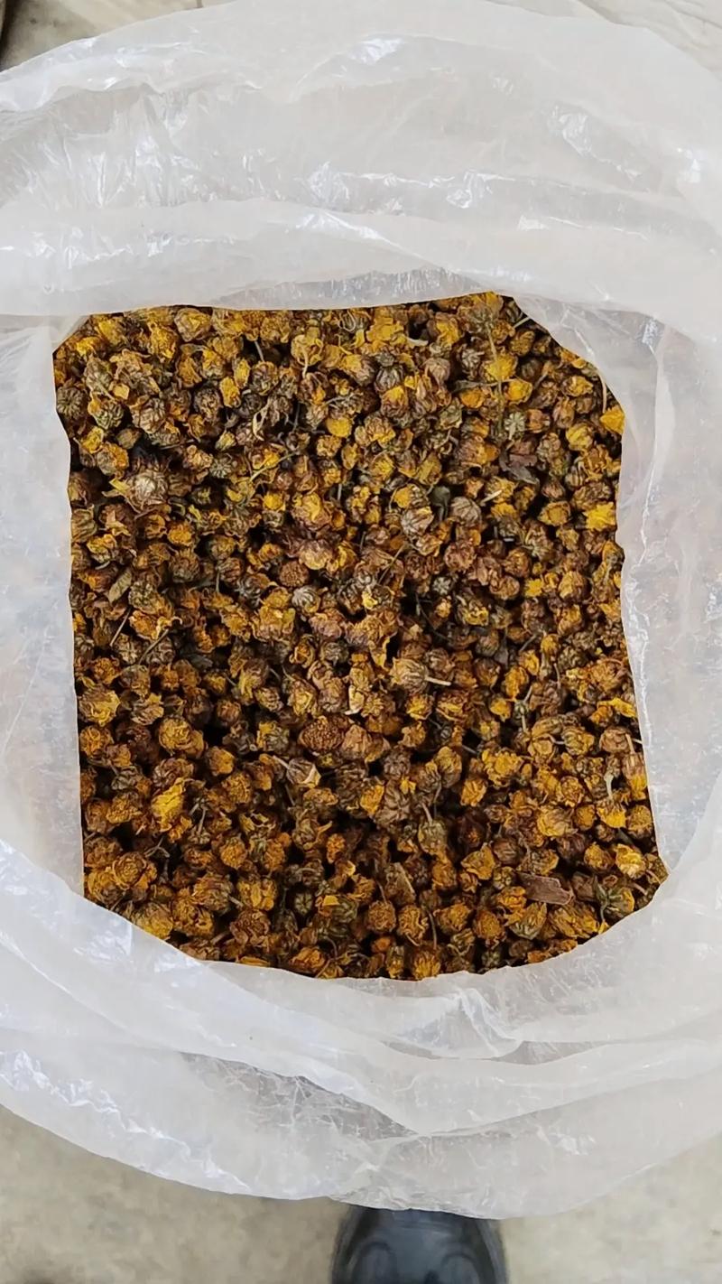 菊花里面的小黑虫是什么，怎么去除，菊花里的小黑点是否虫子？-第3张图片-优品飞百科