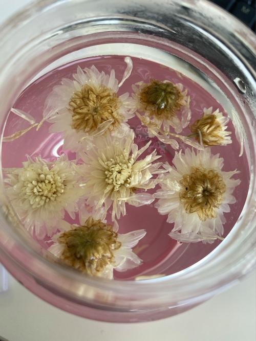 菊花里面的小黑虫是什么，怎么去除，菊花里的小黑点是否虫子？-第4张图片-优品飞百科