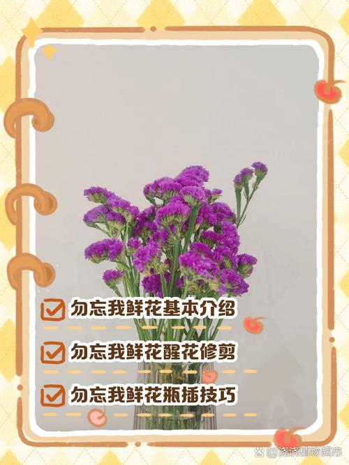 勿忘我秋天怎么养，勿忘我怎么育苗？-第4张图片-优品飞百科