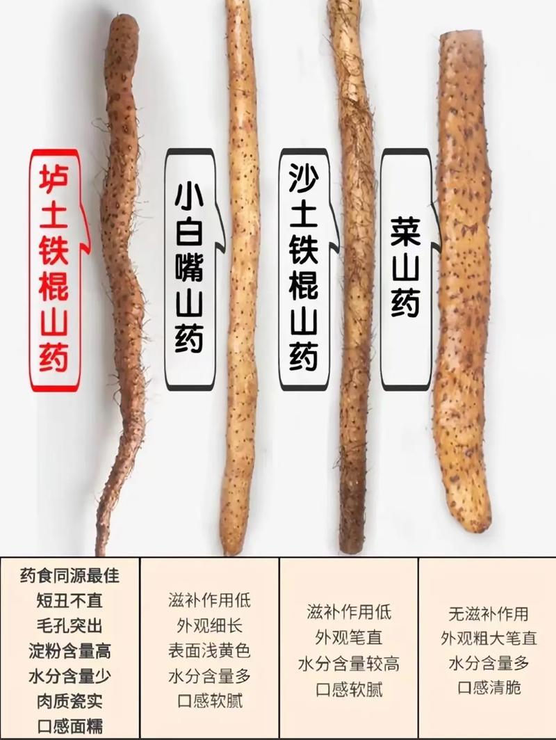 山药是根还是茎？山药是根还是茎还是叶？