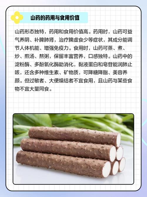 山药是根还是茎?山药是根还是茎还是叶?-第3张图片-优品飞百科 山药是根还是茎?山药是根还是茎还是叶?-第3张图片-优品飞百科