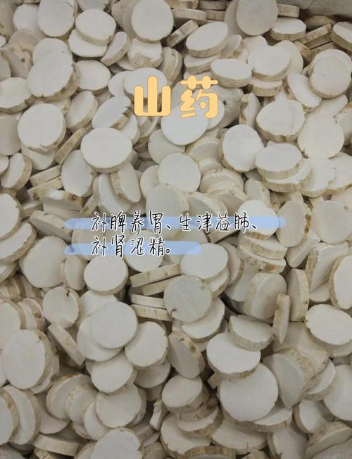 山药是根还是茎?山药是根还是茎还是叶?-第6张图片-优品飞百科 山药是根还是茎?山药是根还是茎还是叶?-第6张图片-优品飞百科