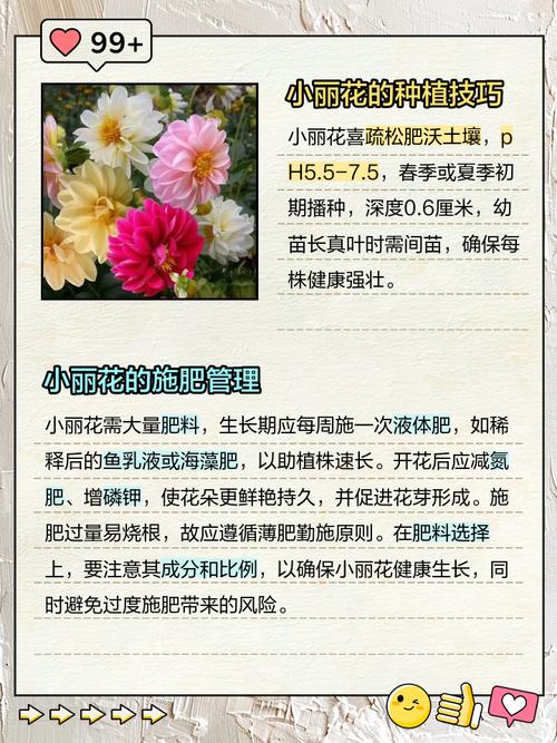 小丽花的病虫害及其防治，小丽花的病虫害及其防治视频？-第6张图片-优品飞百科