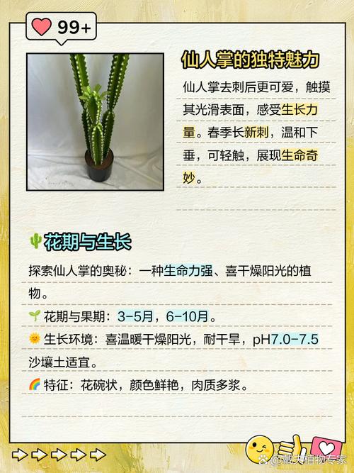叶仙人掌的繁殖方法，叶仙人掌几年开花？