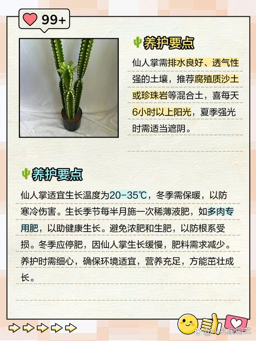 叶仙人掌的繁殖方法，叶仙人掌几年开花？-第8张图片-优品飞百科