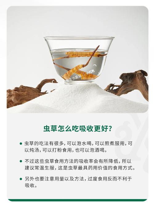 冬虫夏草怎么吃比较好(吃法及用量)?冬虫夏草怎么吃效果好??-第3张图片-优品飞百科 冬虫夏草怎么吃比较好(吃法及用量)?冬虫夏草怎么吃效果好??-第3张图片-优品飞百科