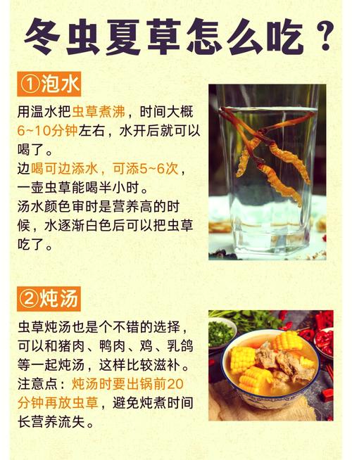 冬虫夏草怎么吃比较好(吃法及用量)?冬虫夏草怎么吃效果好??-第4张图片-优品飞百科 冬虫夏草怎么吃比较好(吃法及用量)?冬虫夏草怎么吃效果好??-第4张图片-优品飞百科