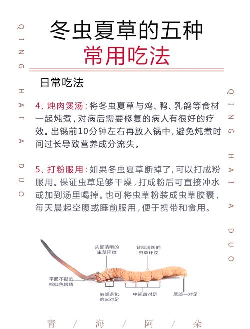 冬虫夏草怎么吃比较好(吃法及用量)?冬虫夏草怎么吃效果好??-第5张图片-优品飞百科 冬虫夏草怎么吃比较好(吃法及用量)?冬虫夏草怎么吃效果好??-第5张图片-优品飞百科