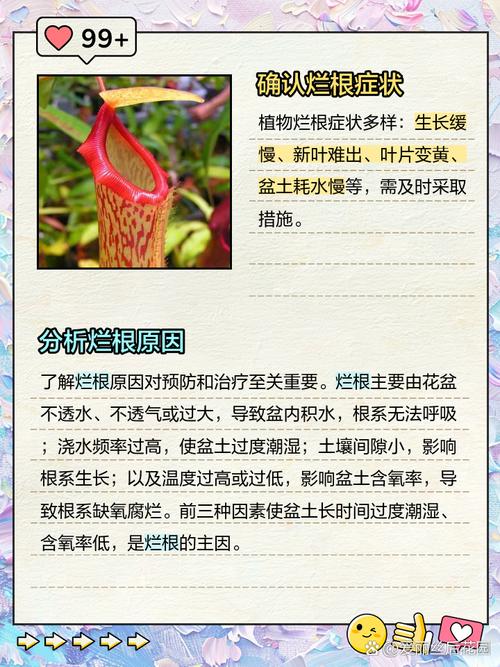 水多烂根怎么处理，花老是烂根怎么回事，植物水多烂根的表现-第5张图片-优品飞百科