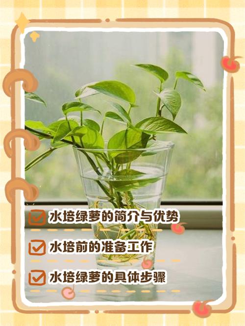 刚剪下来的绿萝怎么办？刚剪下来的绿萝应该怎样土培？-第2张图片-优品飞百科