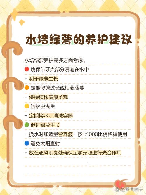 刚剪下来的绿萝怎么办？刚剪下来的绿萝应该怎样土培？-第4张图片-优品飞百科