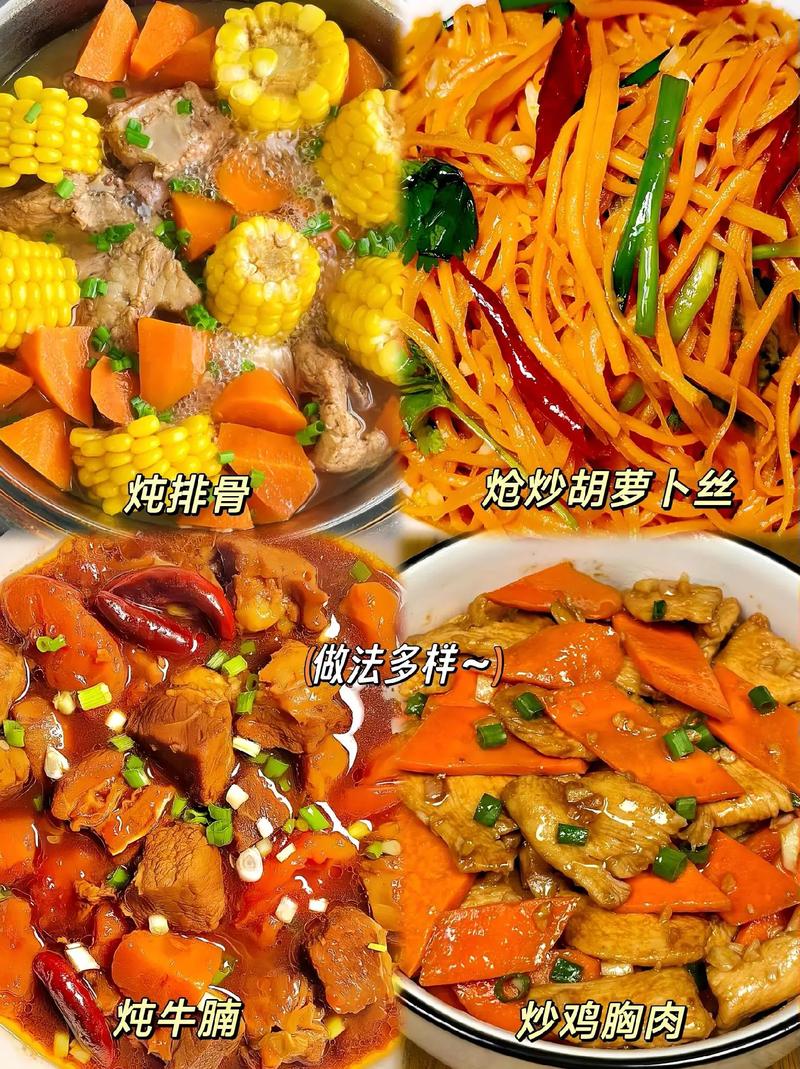 胡萝卜的常见品种，胡萝卜分几种类型-第2张图片-优品飞百科