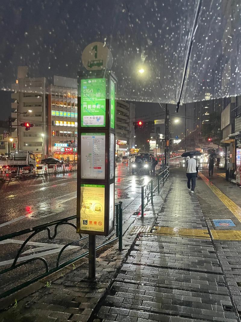 天气预报30天查询东京天气，天气预报30天查询东京天气情况？-第4张图片-优品飞百科