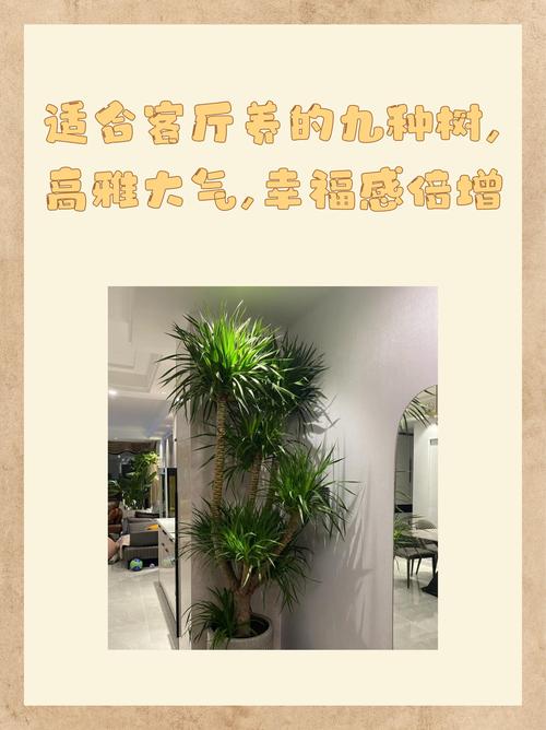 这“4种”旺运树，养在家里样子好，比“发财树”强好几倍！的简单介绍
