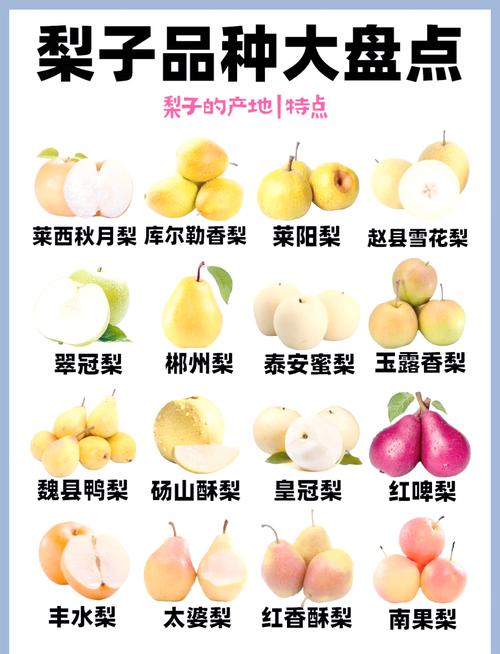 梨树有哪些作用，梨子树的作用？-第3张图片-优品飞百科