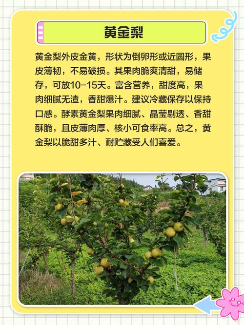梨树有哪些作用，梨子树的作用？-第6张图片-优品飞百科