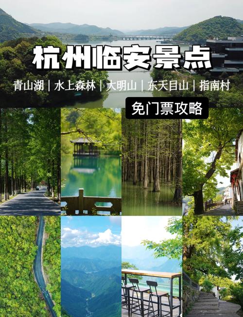 杭州市临安天气预报,杭州市临安天气预报30天?-第6张图片-优品飞百科 杭州市临安天气预报,杭州市临安天气预报30天?-第6张图片-优品飞百科