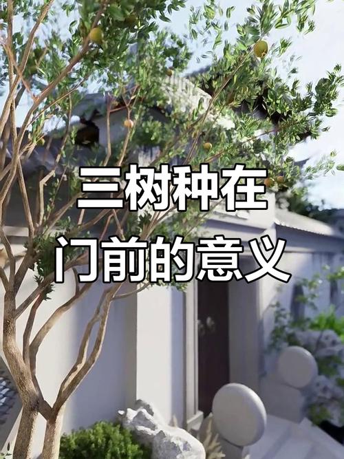 门前种三树家兴旺三代？门前栽种什么树兴旺发达？-第2张图片-优品飞百科