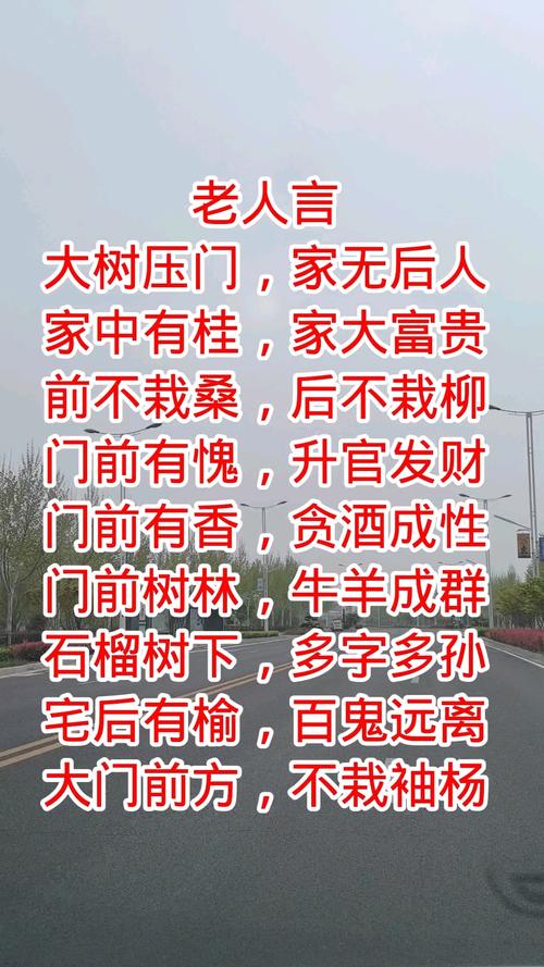 门前种三树家兴旺三代？门前栽种什么树兴旺发达？-第4张图片-优品飞百科