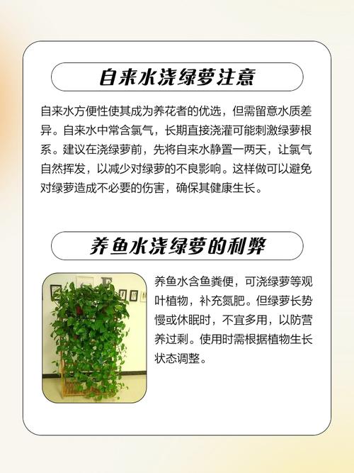 室内绿萝浇什么水？绿萝该浇什么水？-第3张图片-优品飞百科