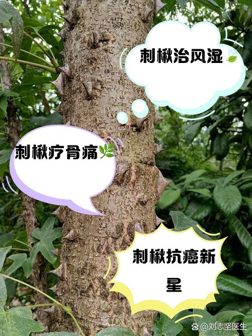 楸树的价值有哪些，楸树有什么价值-第4张图片-优品飞百科