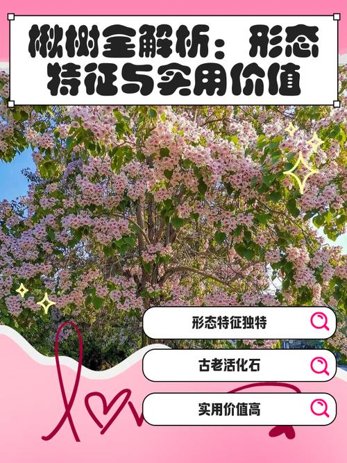 楸树的价值有哪些，楸树有什么价值-第5张图片-优品飞百科