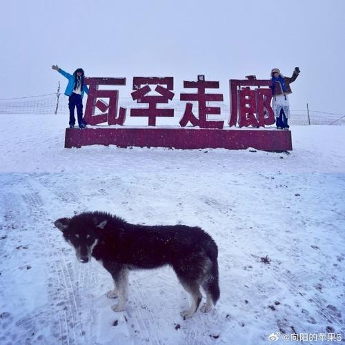 喀什市塔县天气预报,新疆塔县天气预报15天查询-第2张图片-优品飞百科 喀什市塔县天气预报,新疆塔县天气预报15天查询-第2张图片-优品飞百科