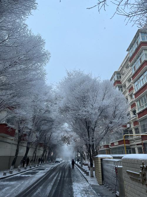 新疆天气下雪了吗？新疆天气下雪了吗现在？