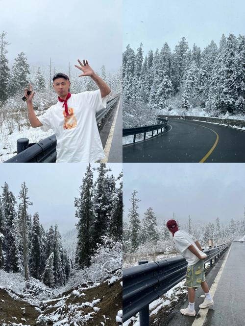 新疆天气下雪了吗？新疆天气下雪了吗现在？-第4张图片-优品飞百科