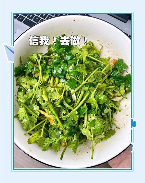 吃香菜有什么好处，香菜的做法，吃香菜的用处？-第2张图片-优品飞百科