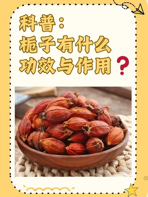 栀子花的功效与作用，栀子花适合养在室内吗-第2张图片-优品飞百科