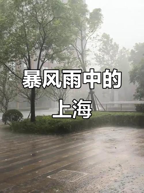 上海浦东天气情况最新,上诲浦东天气预报?-第4张图片-优品飞百科 上海浦东天气情况最新,上诲浦东天气预报?-第4张图片-优品飞百科