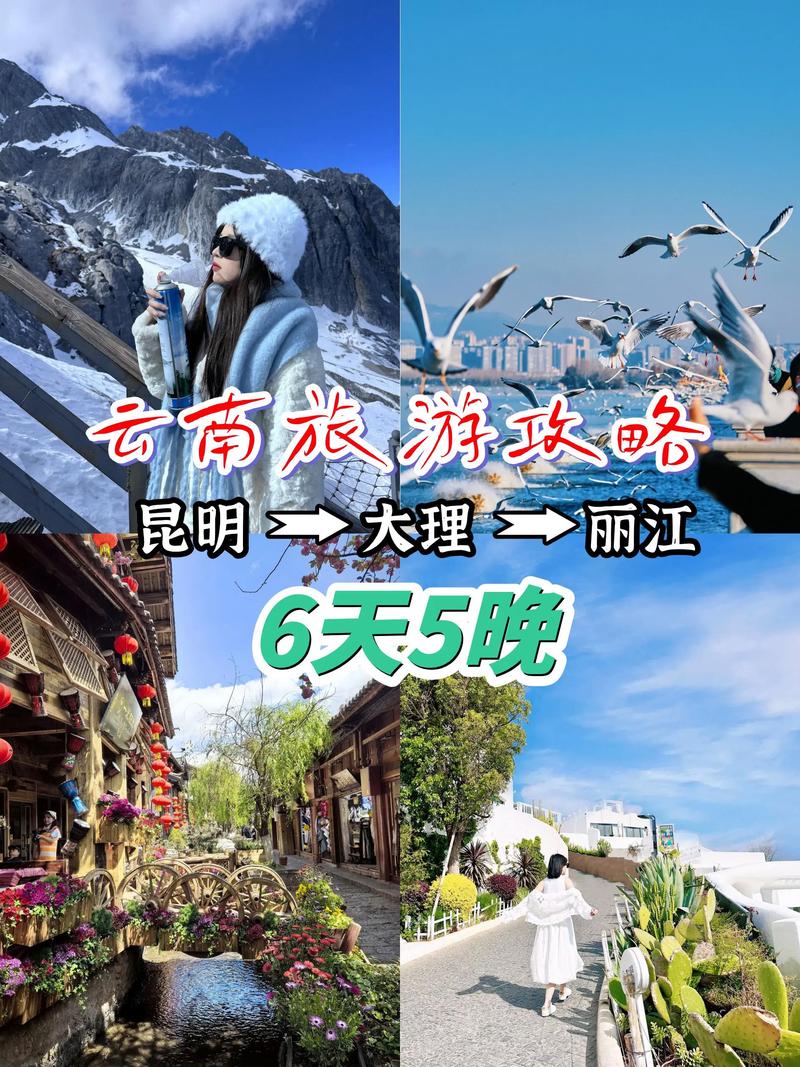 丽江天气预报15天查询结果？云南丽江的天气预报15天查询？-第3张图片-优品飞百科