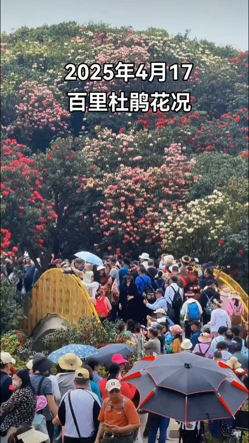 丽江天气预报15天查询结果？云南丽江的天气预报15天查询？-第7张图片-优品飞百科